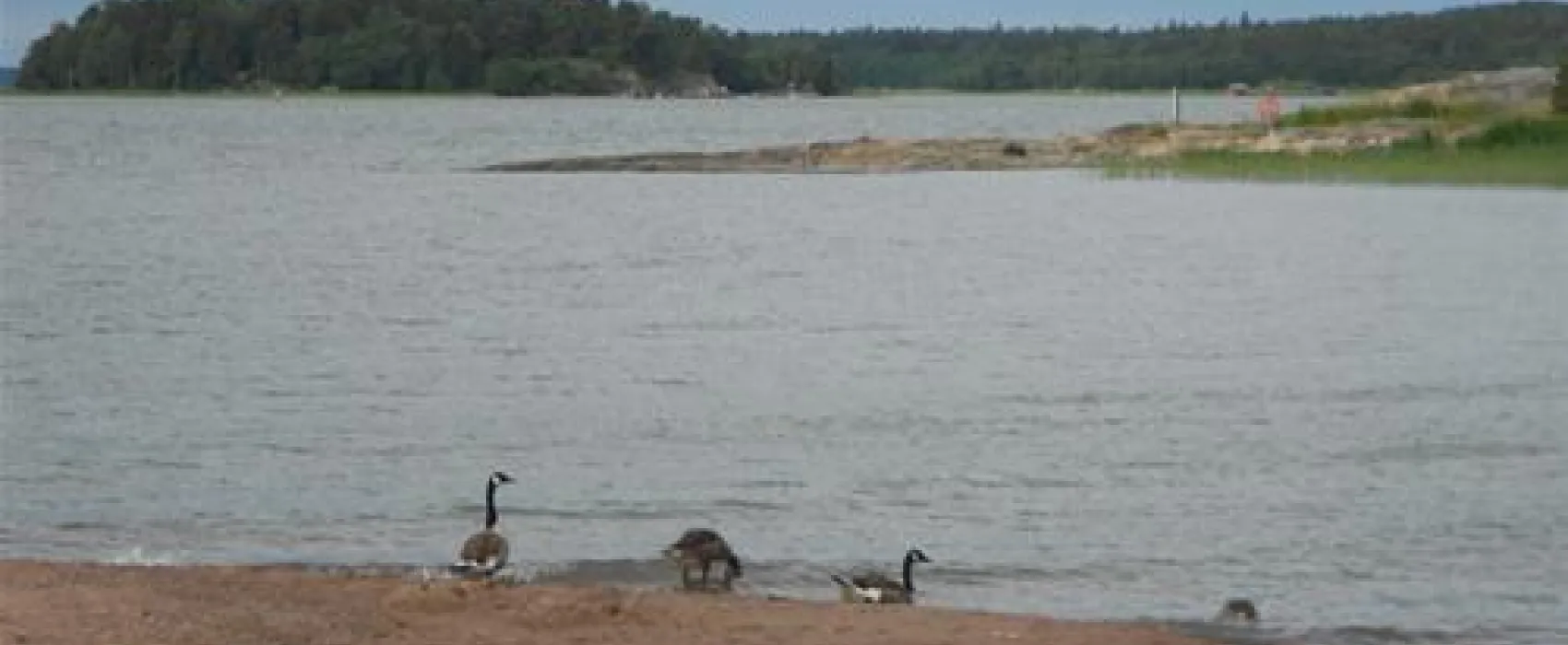 Ruissalo Camping