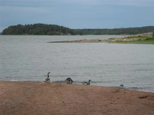 ruissalo-camping-turku-cxt8u