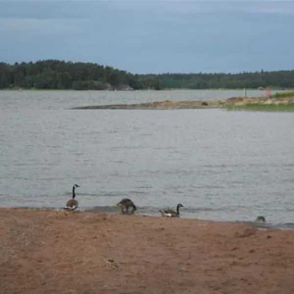 ruissalo-camping-turku-cxt8u