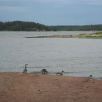 ruissalo-camping-turku-cxt8u