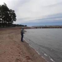 Ruissalo Camping