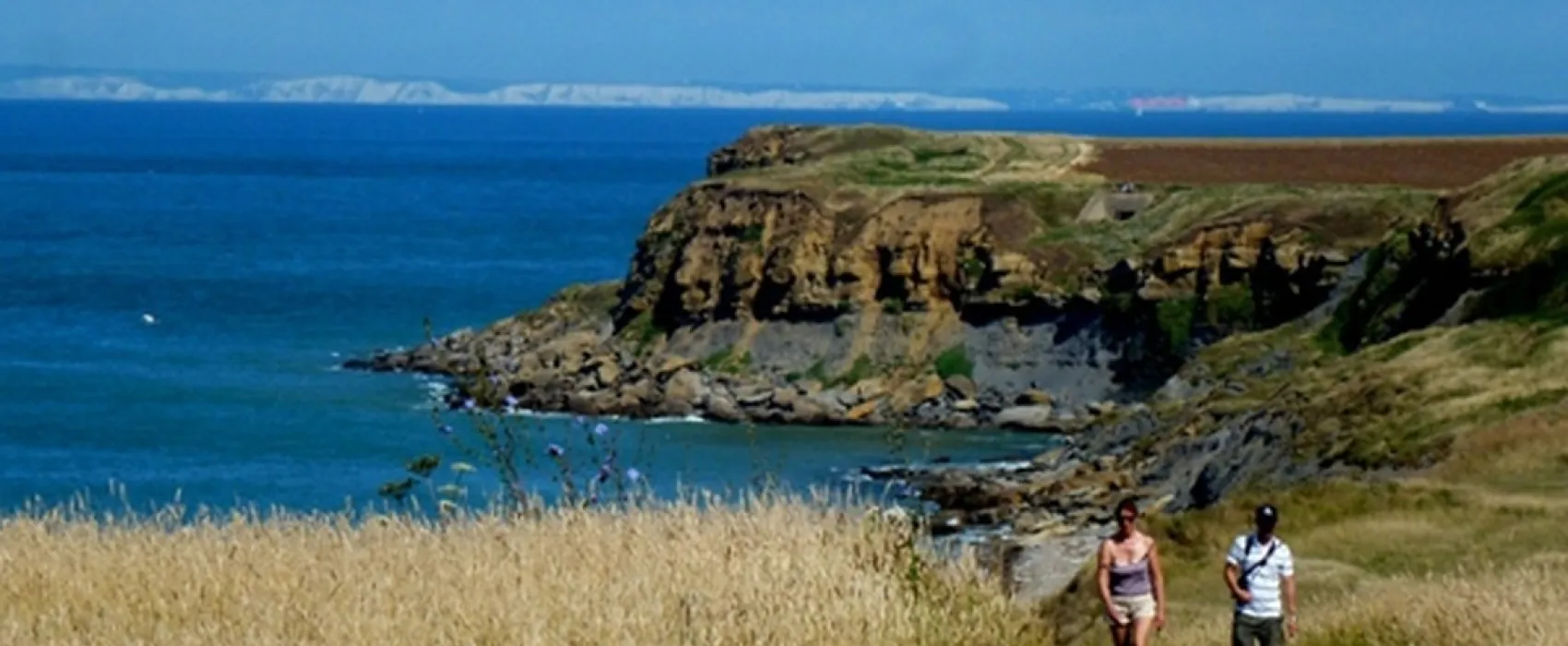 Camping Municipal Du Musee