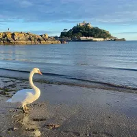 lanyon-holiday-park-redruth-rc9x2