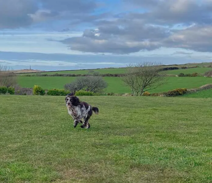 lanyon-holiday-park-redruth-uu1ul