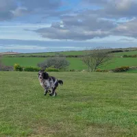 lanyon-holiday-park-redruth-uu1ul