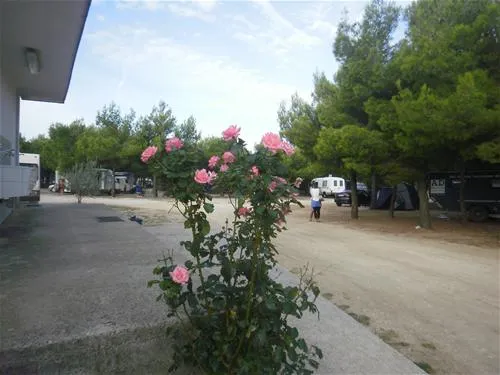 camping-krka-lozovac-56ig6