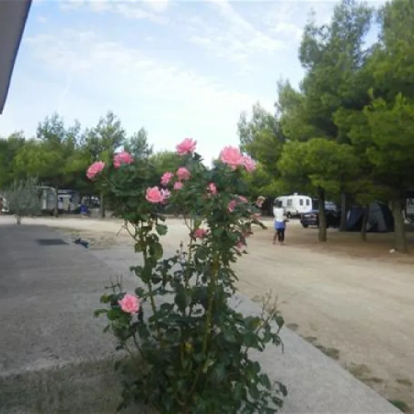 camping-krka-lozovac-56ig6