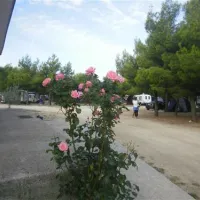 camping-krka-lozovac-56ig6