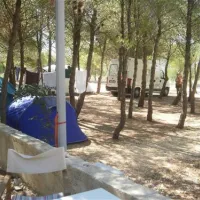 camping-krka-lozovac-nzpng