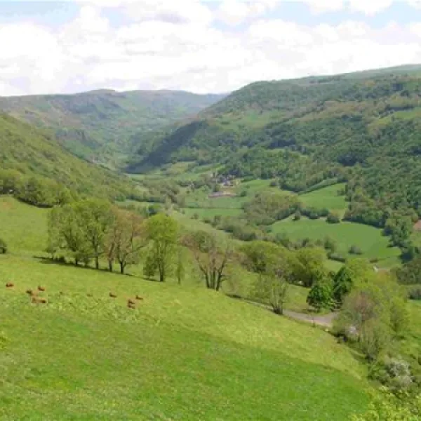 camping-pont-du-rouffet-saint-martin-cantales-pktxe