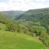 camping-pont-du-rouffet-saint-martin-cantales-pktxe