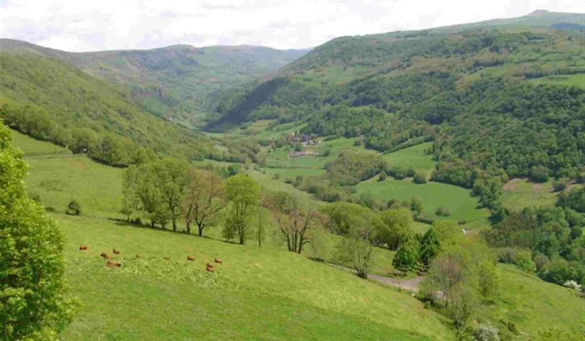 camping-pont-du-rouffet-saint-martin-cantales-zttr3