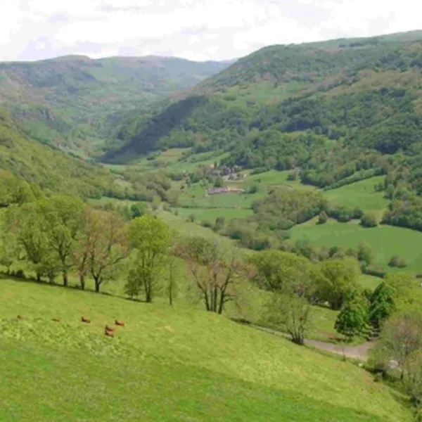 camping-pont-du-rouffet-saint-martin-cantales-zttr3