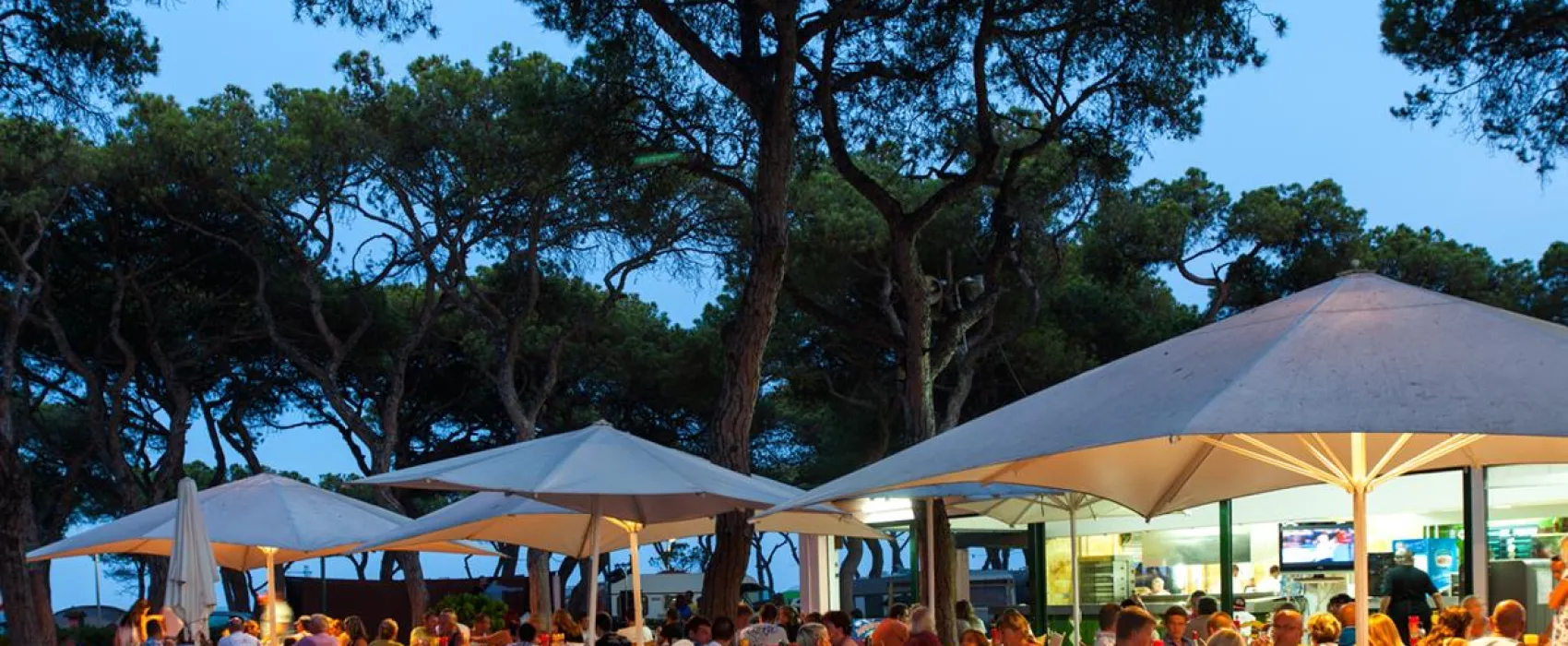 Camping el Pinar