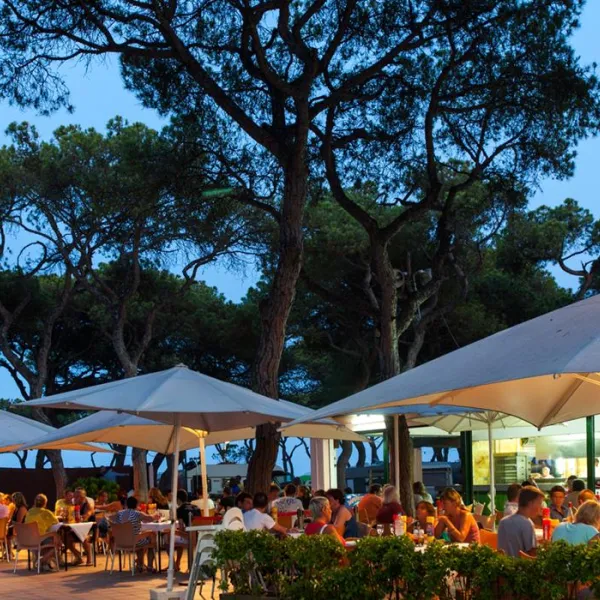 camping-el-pinar-blanes-5nlfu