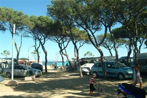 camping-el-pinar-blanes-oedxd