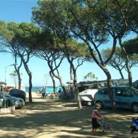 camping-el-pinar-blanes-oedxd
