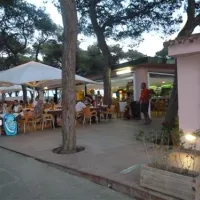camping-el-pinar-blanes-tjxwt