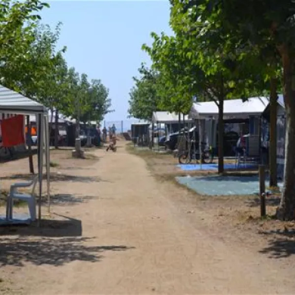 camping-el-pinar-blanes-vxkwc