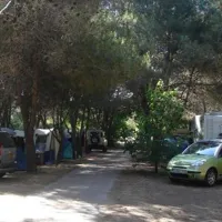 camping-abartello-olmeto-zv8gw