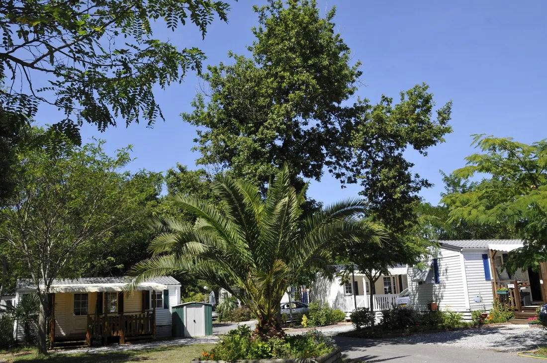 camping-la-pointe-capbreton-fwwr2