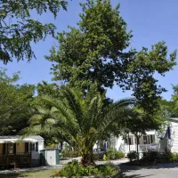 camping-la-pointe-capbreton-fwwr2