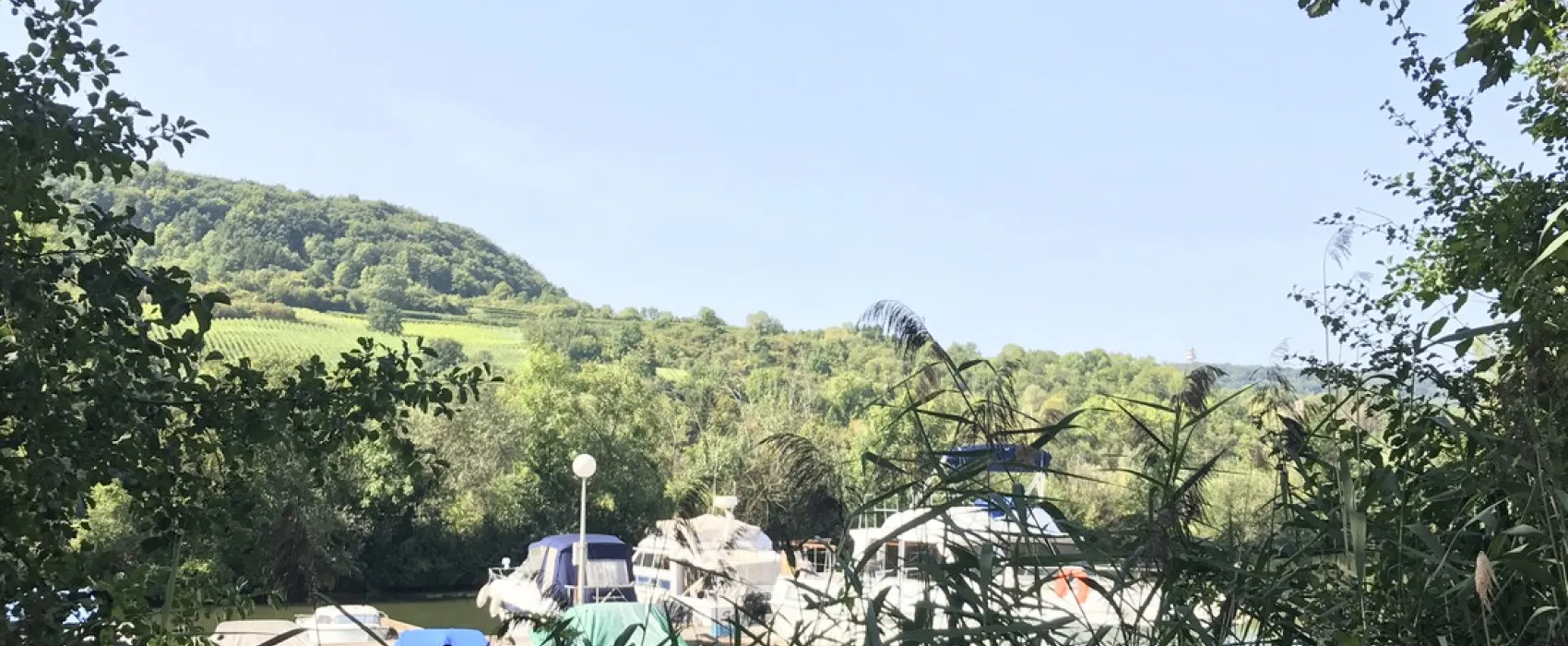 Camping Le Paquis  