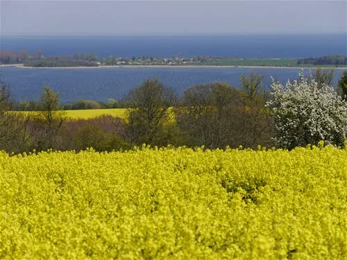 ferien-und-campinganlage-schuldt-gmbh-behrensdorf-j9jg9