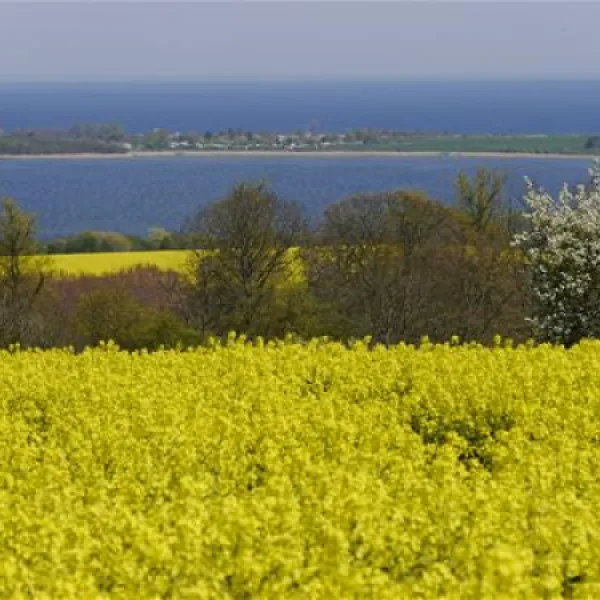 ferien-und-campinganlage-schuldt-gmbh-behrensdorf-j9jg9