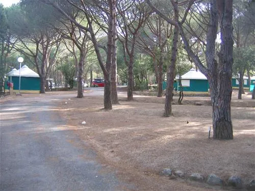 camping-paduella-calvi-veitw