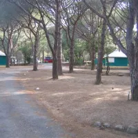 camping-paduella-calvi-veitw