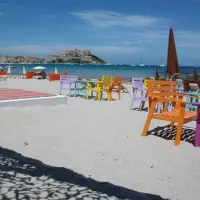 camping-paduella-calvi-vwgn4