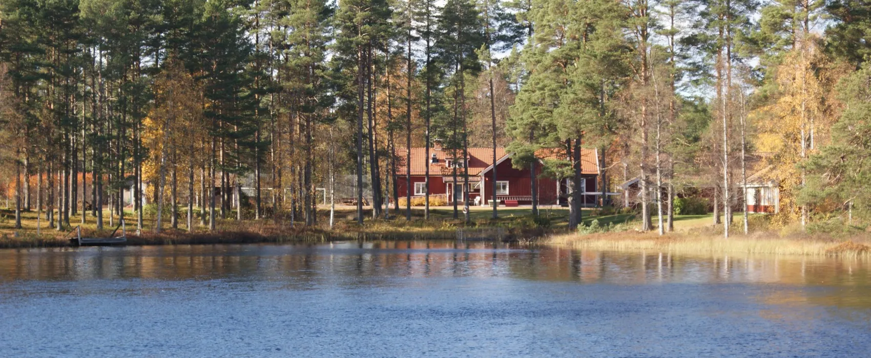 Siknäs Fyrklöver   