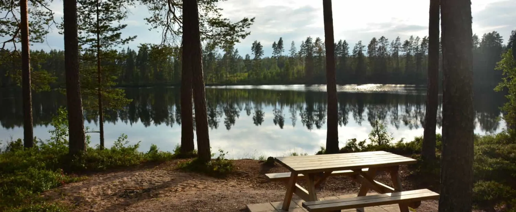 Siknäs Fyrklöver   