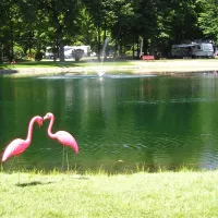 Meadow Lake Park