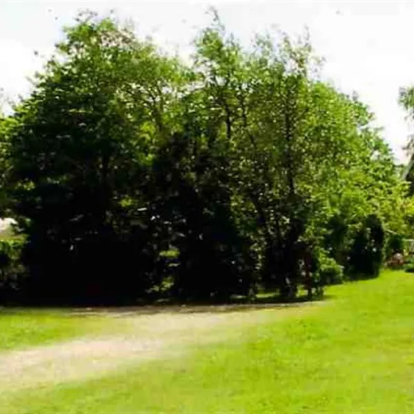 camping-jarplund-flensburgjarplund-qv8az