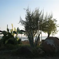 ada-camping-ayvalik-knsgl