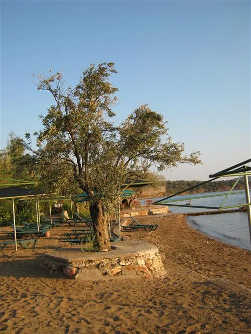 ada-camping-ayvalik-nq7ih