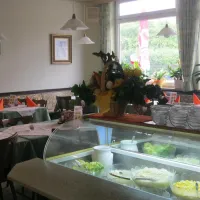 camping-linzpichlingersee-linz-tsogi