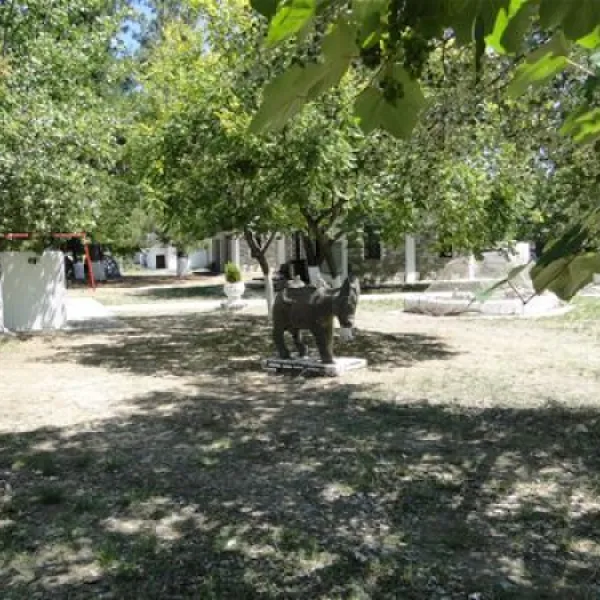 campsite-golden-beach-panagia-6rtje