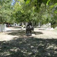 campsite-golden-beach-panagia-6rtje