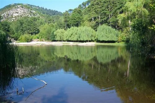campsite-golden-beach-panagia-bkdht