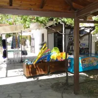 campsite-golden-beach-panagia-pmqia
