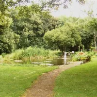 kurcamping-harzer-feriengarten-quedlinburg-ot-gernrode-4cssc