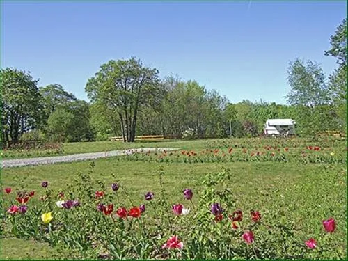 kurcamping-harzer-feriengarten-quedlinburg-ot-gernrode-ma2md