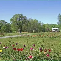 kurcamping-harzer-feriengarten-quedlinburg-ot-gernrode-ma2md