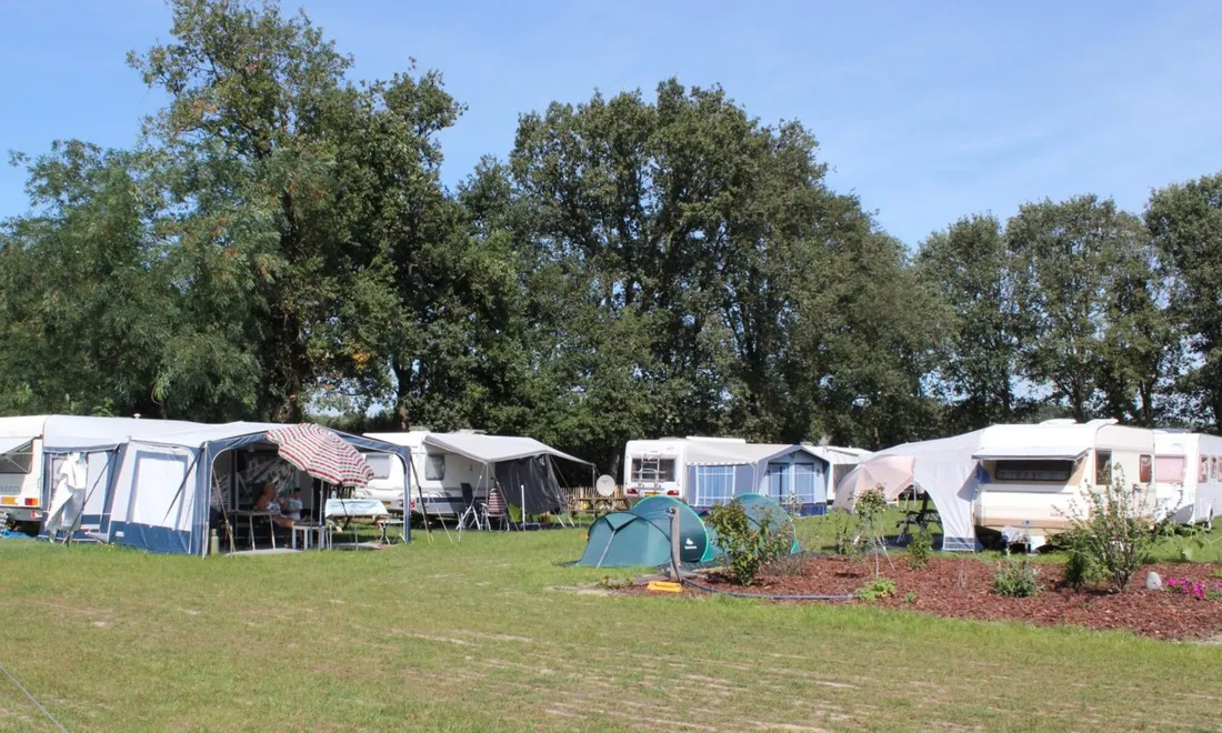 camping-het-scharrelnest-wijchen-qdcgr