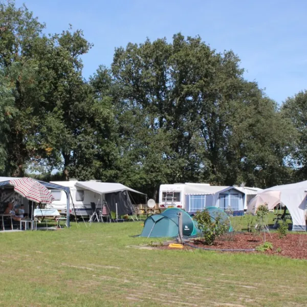 camping-het-scharrelnest-wijchen-qdcgr
