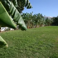 camping-torre-del-mar-torre-del-mar-eugvo