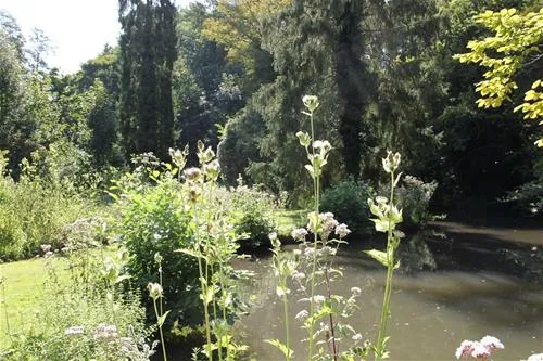 camping-ile-de-boulancourt-boulancourt-twiev